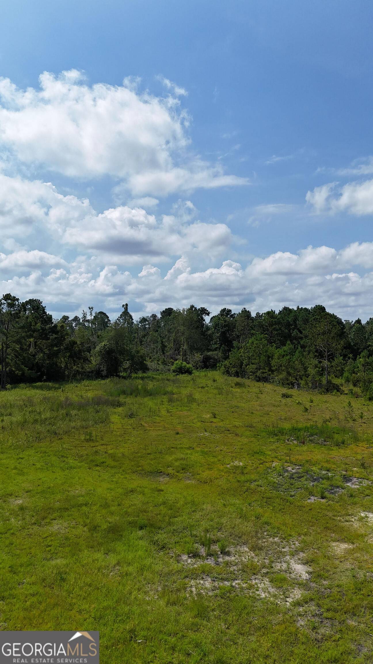 Hazlehurst, GA 31539,0 Tallahassee ST