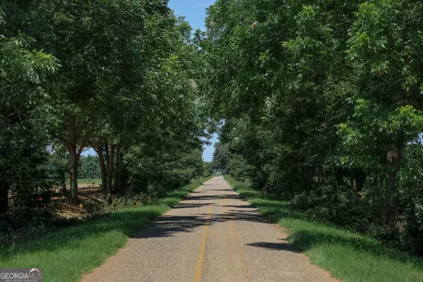 Edison, GA 39846,0 Pine ST