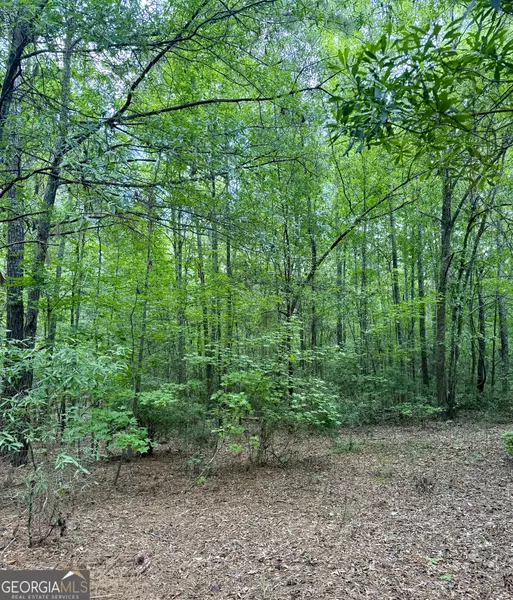 1006 Old Louisville RD, Harlem, GA 30814