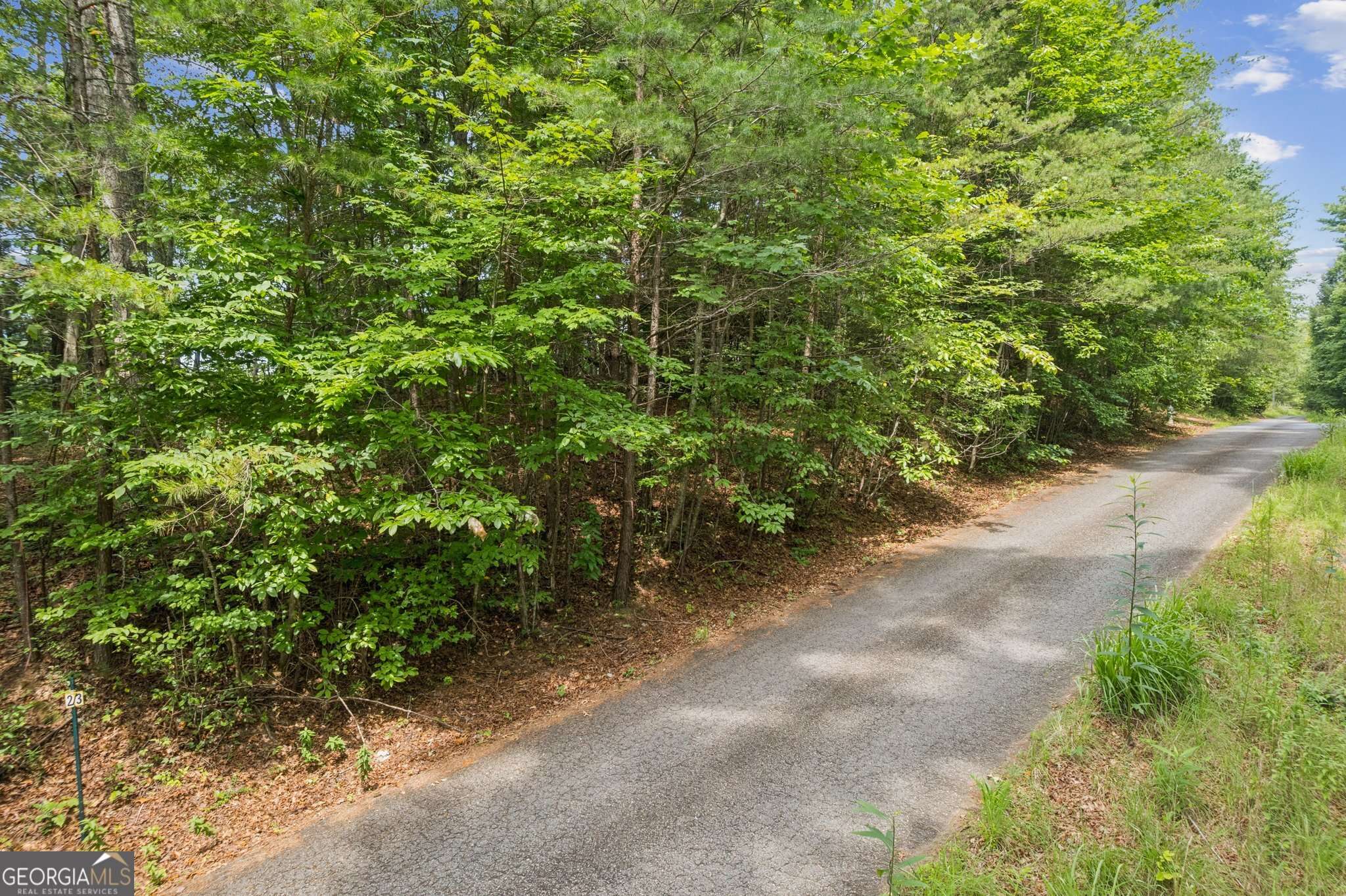 Ellijay, GA 30536,LOT 3 Riverfront DR