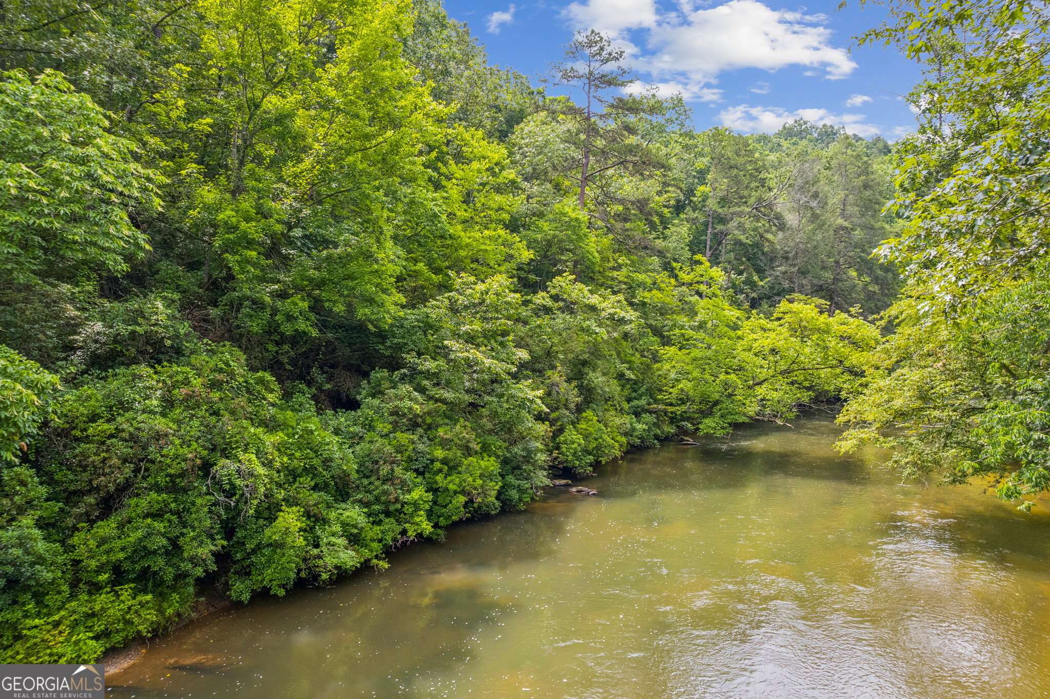 Ellijay, GA 30536,LOT 6 Riverfront DR