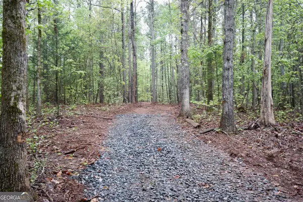 Jenkinsburg, GA 30234,0 Maple Valley DR