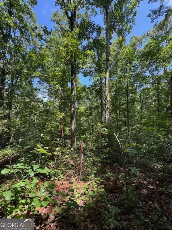 Bowdon, GA 30108,0 Old Columbus RD