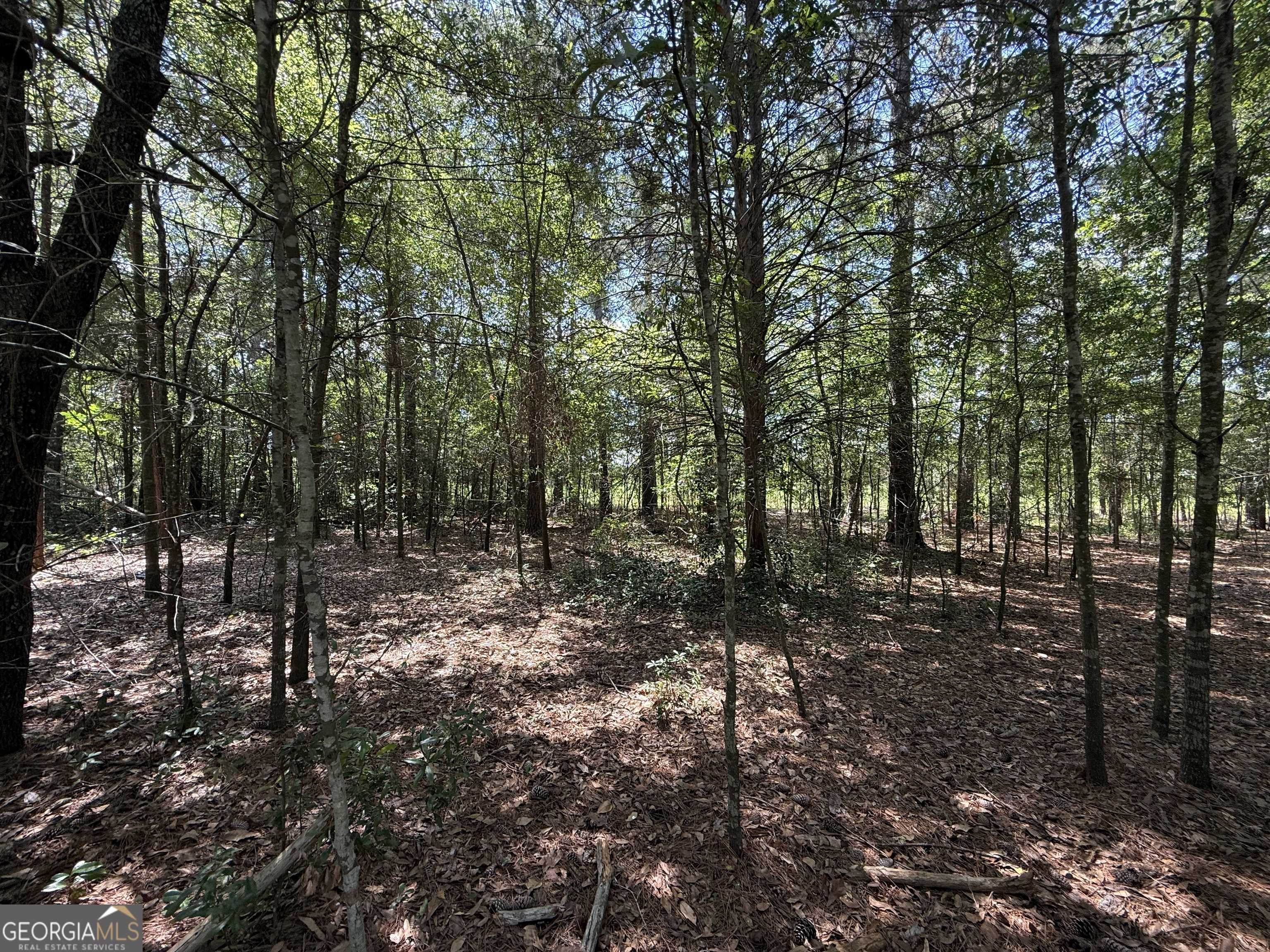 Hawkinsville, GA 31036,0 Fairway Lane