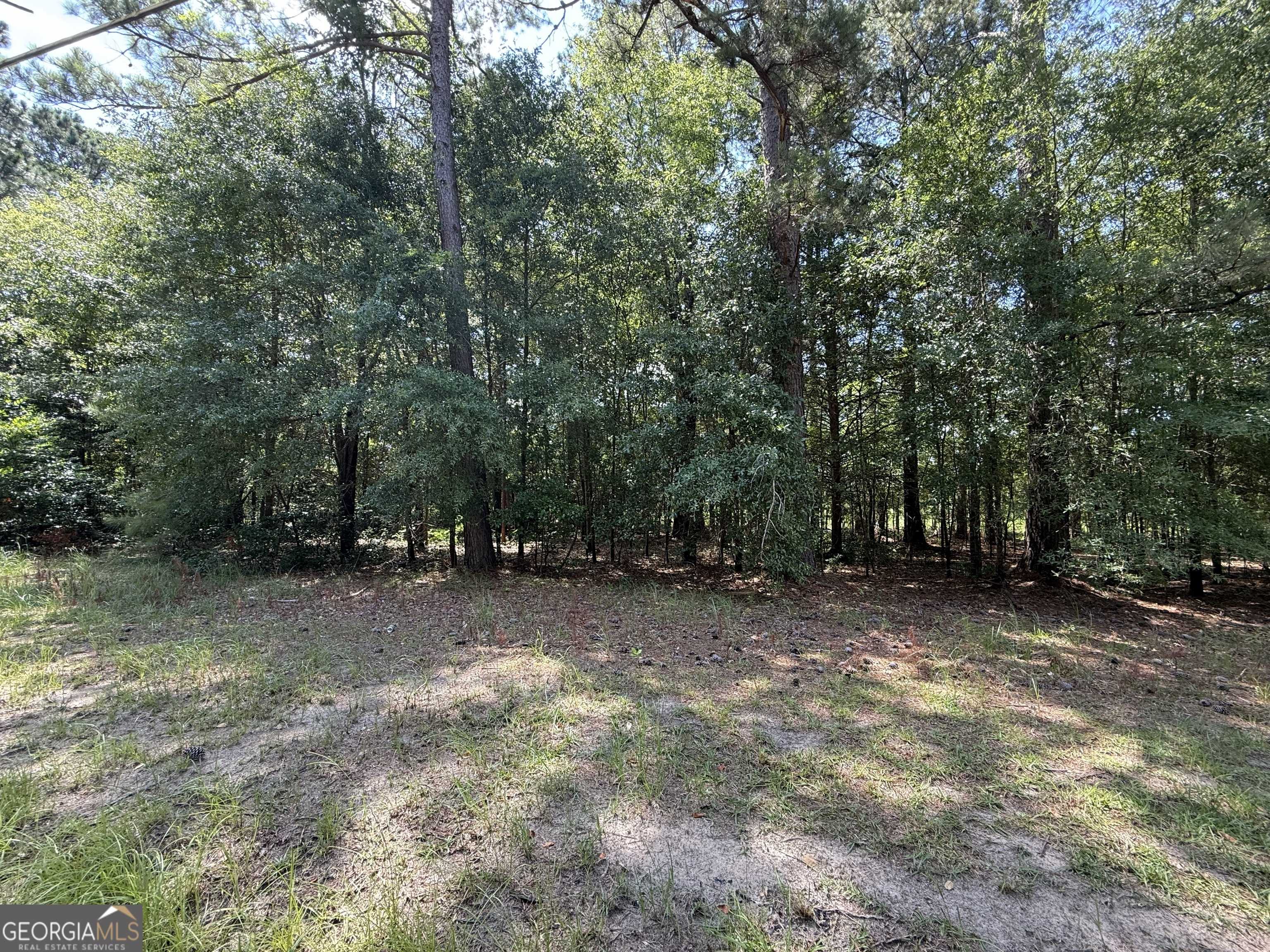Hawkinsville, GA 31036,0 Fairway Lane