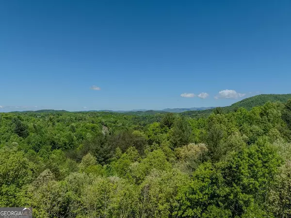 Brasstown, NC 28902,156 Trillium Heights TRCE