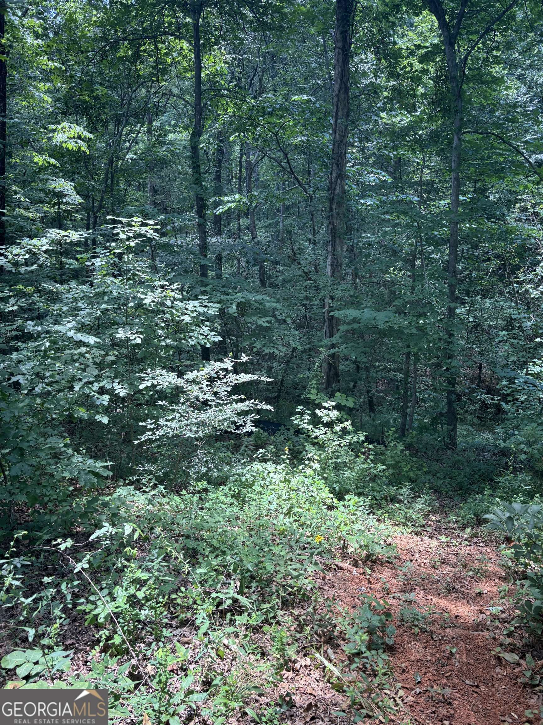 Pendergrass, GA 30567,412 Emily Forest WAY