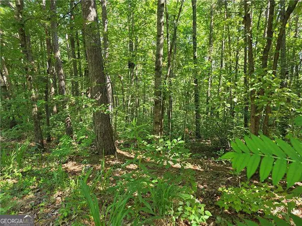 Ball Ground, GA 30107,0 Lawson Federal RD