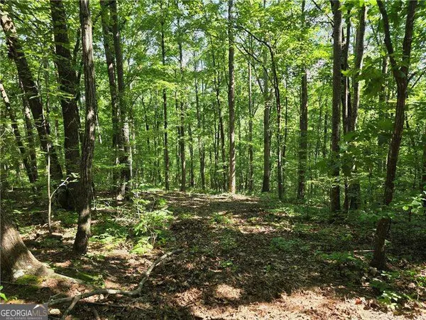 Ball Ground, GA 30107,0 Lawson Federal RD
