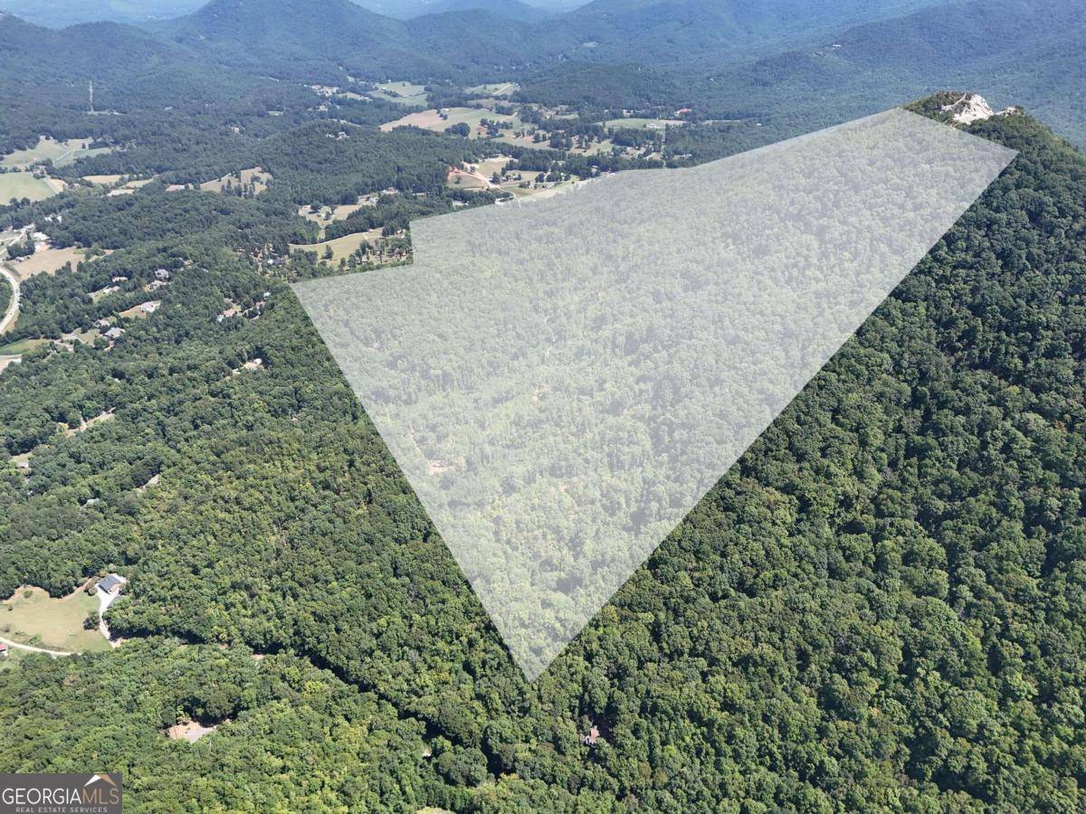 Hiawassee, GA 30546,145 AC. Bell MTN