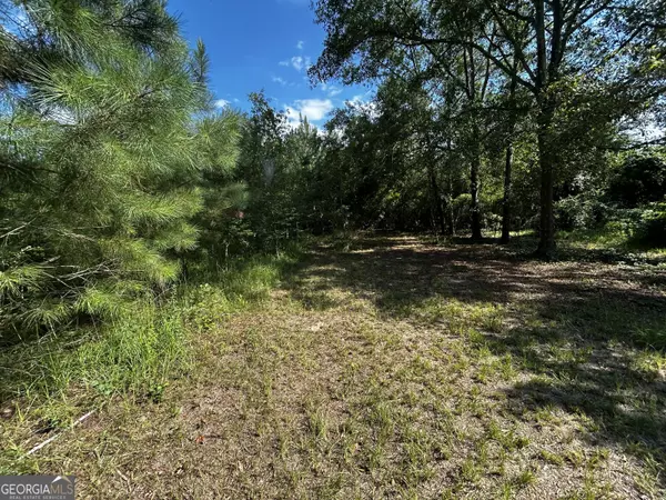 East Dublin, GA 31027,1787 Buddy Johnson RD