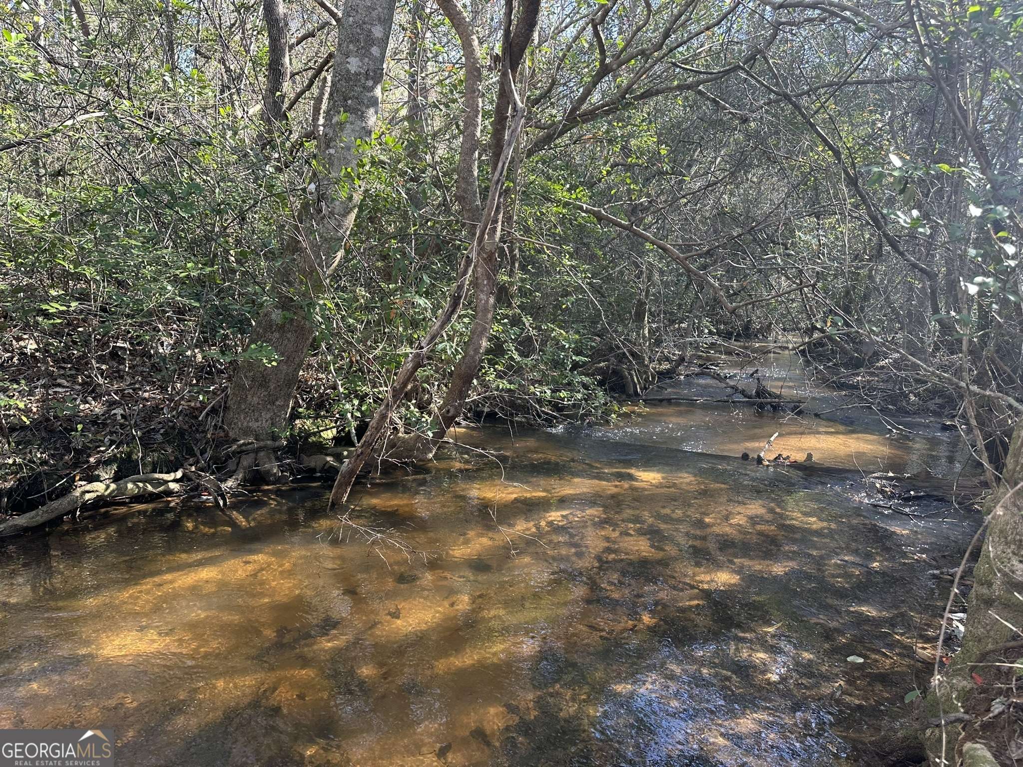 Butler, GA 31006,0 Mt Sinai Church Rd