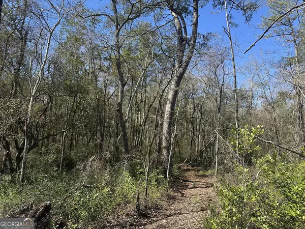 Butler, GA 31006,095 Mt Sinai Church RD