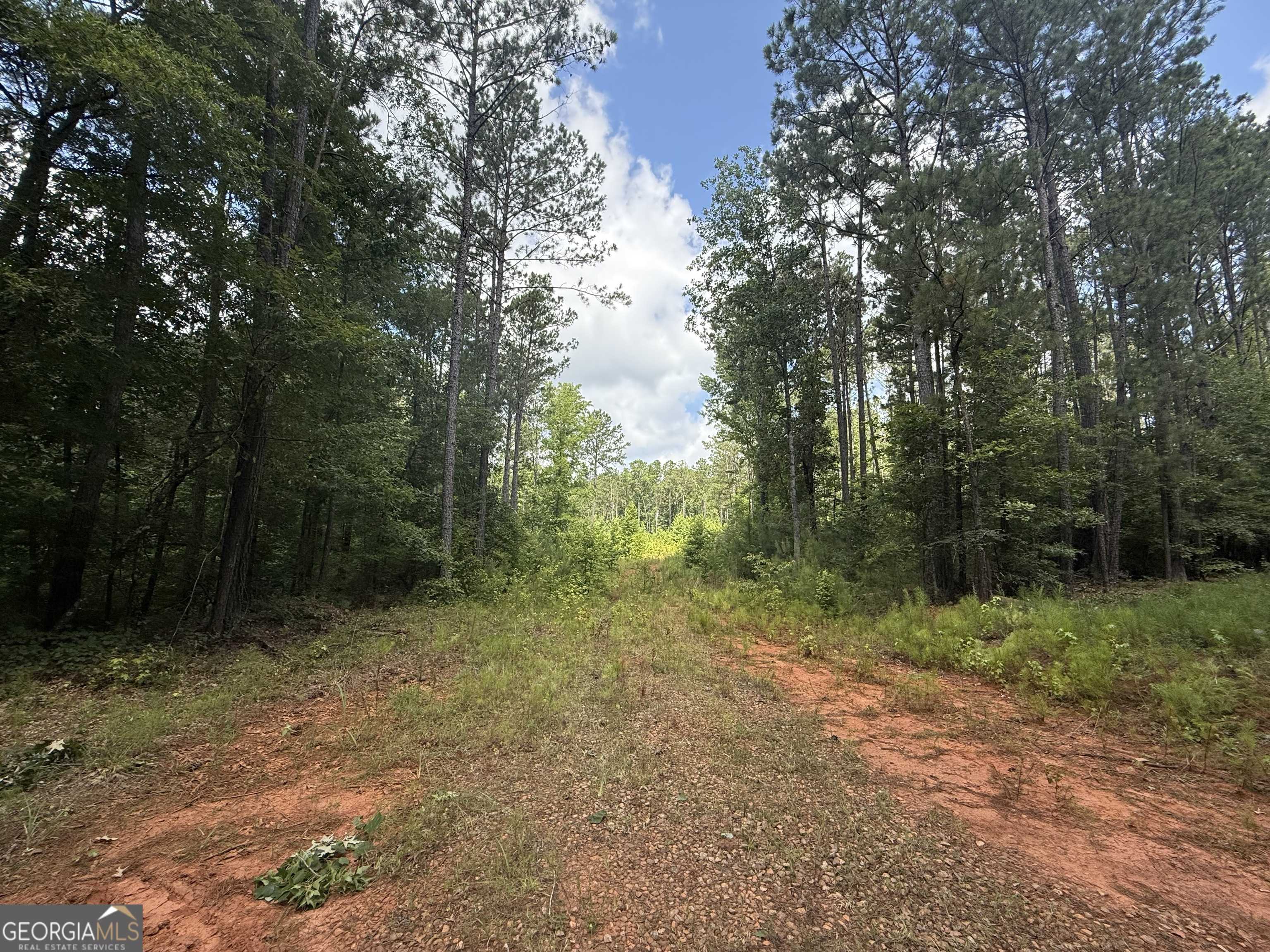Forsyth, GA 31029,0 Highway 87
