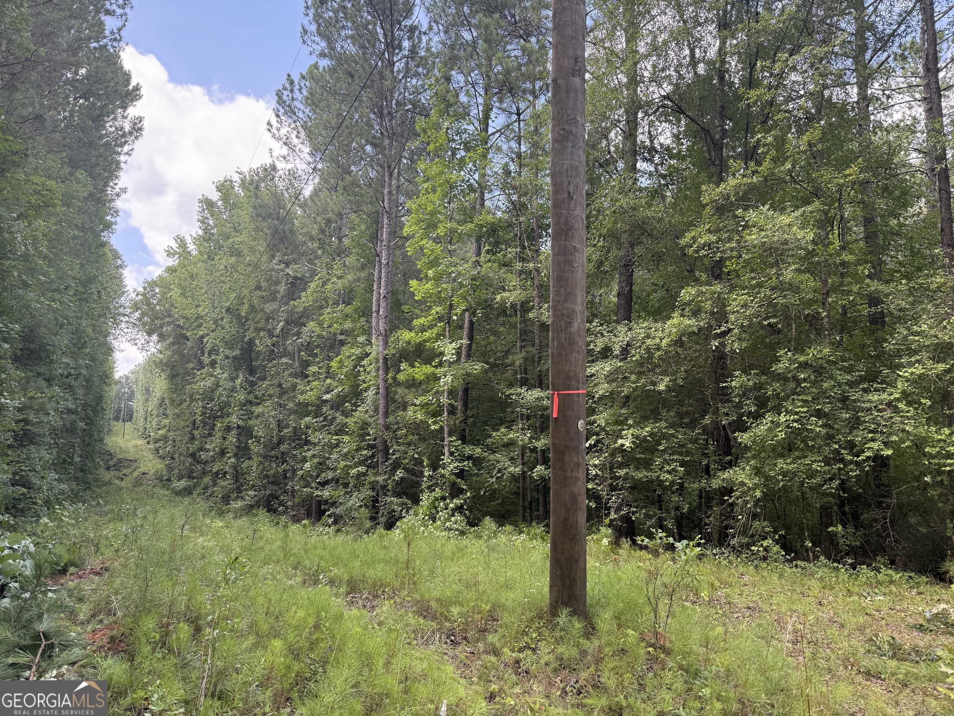Forsyth, GA 31029,. Highway 87