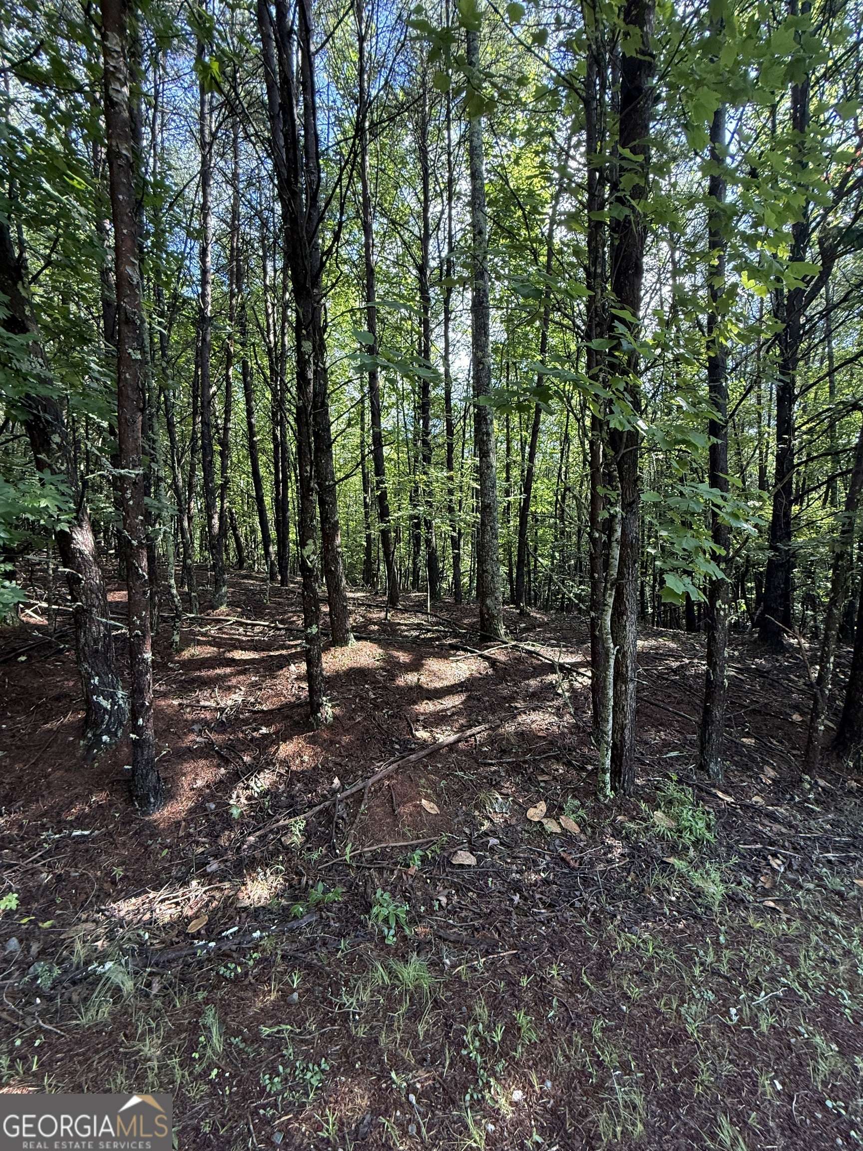 Sautee Nacoochee, GA 30571,LOT 4 Marci LN