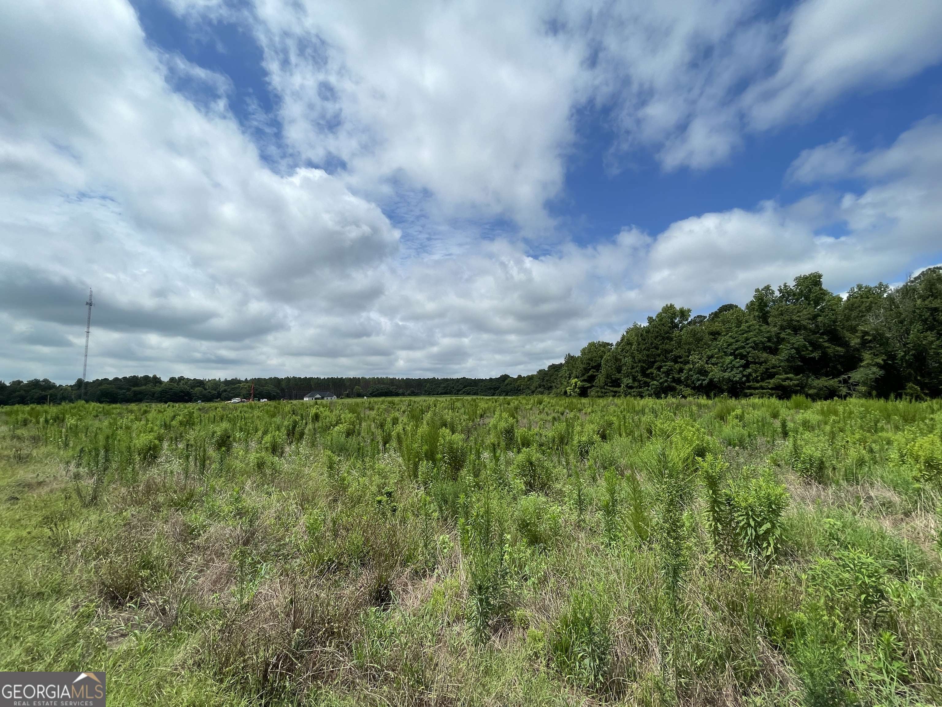 Cochran, GA 31014,LOT 3 N Ga Hwy 87