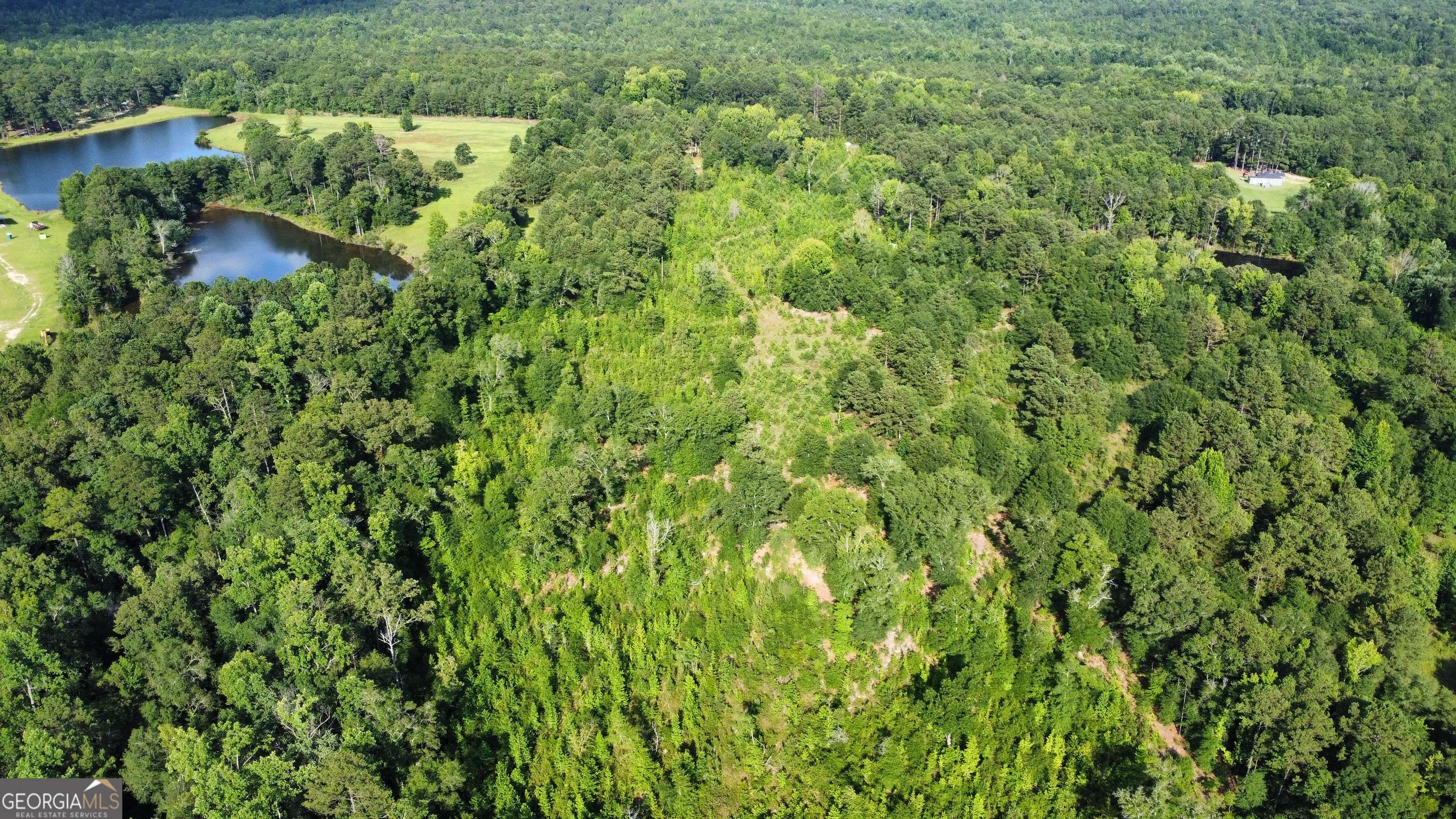 Box Springs, GA 31801,700 GUN CLUB ROAD