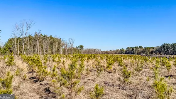 Statesboro, GA 30461,0 Highway 301 #3