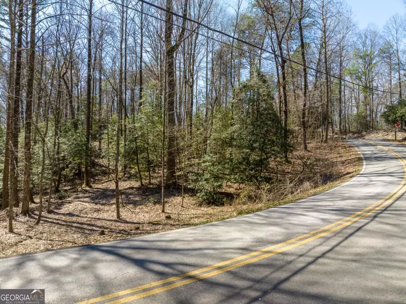 LOT 193 Shenendoa DR, Ellijay, GA 30540