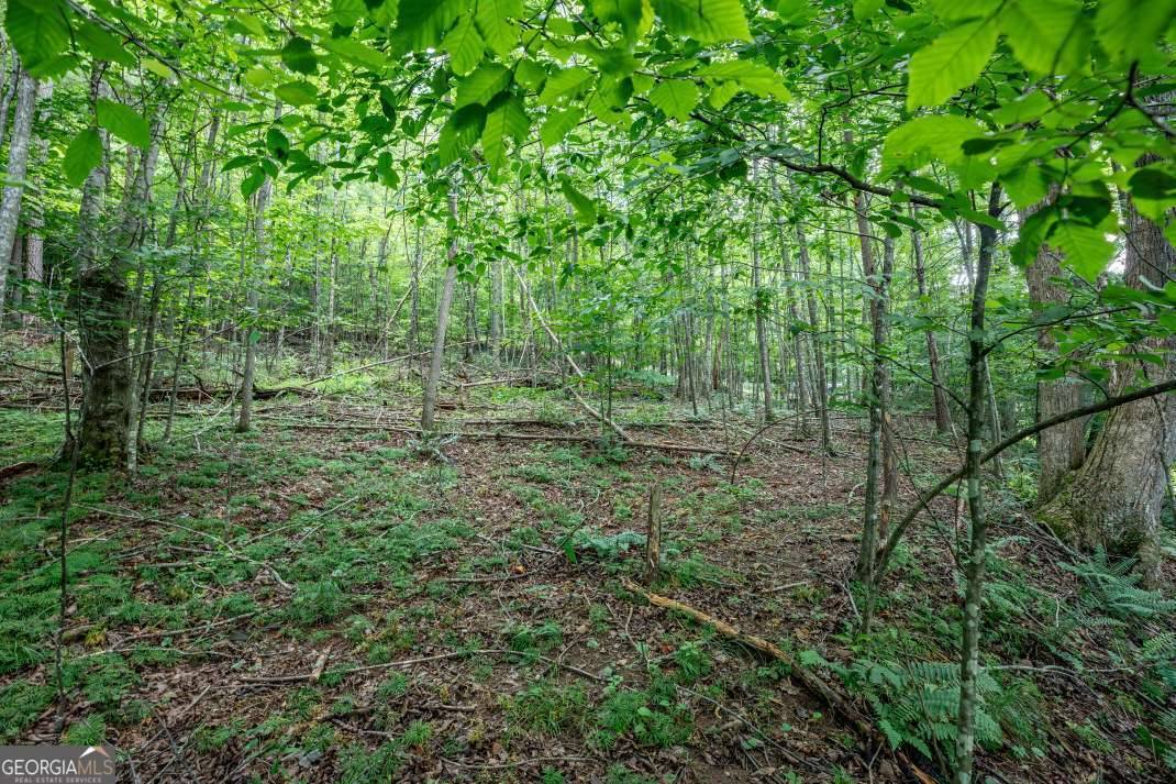 LOT 56 Bryant Cove S/D, Blairsville, GA 30512