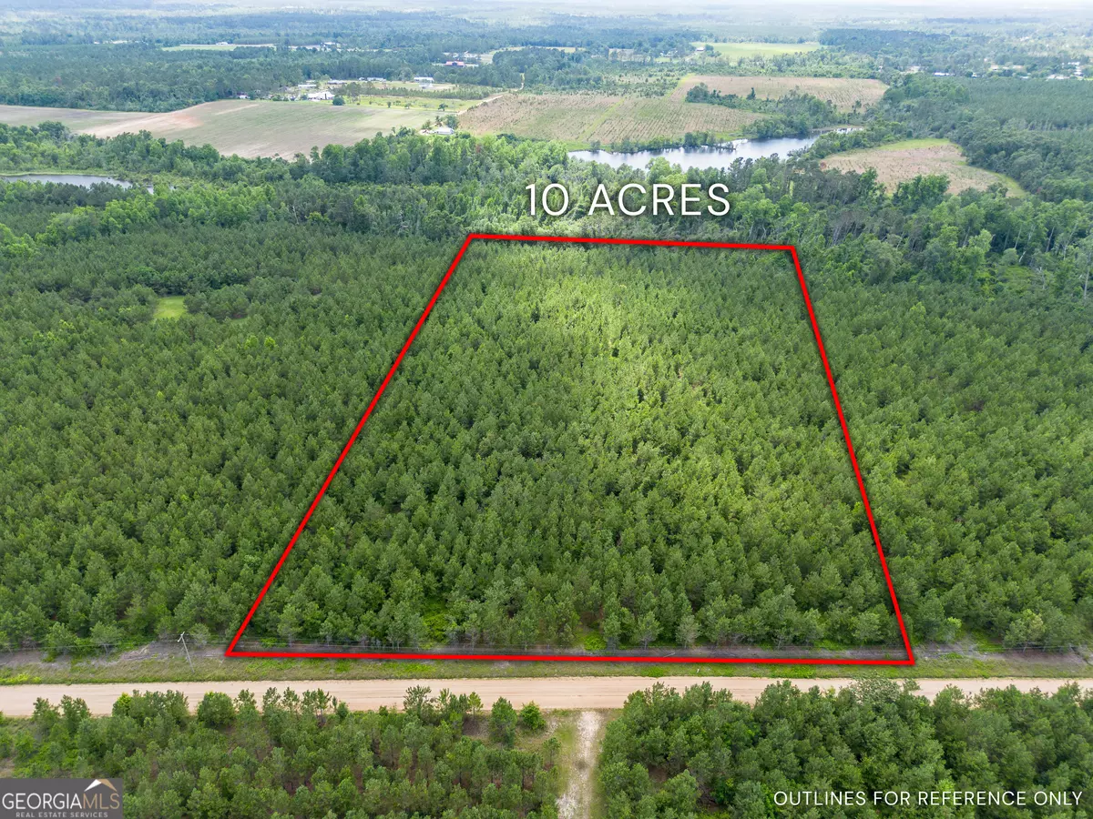 Alma, GA 31510,TRACT 10 Sanderling RD