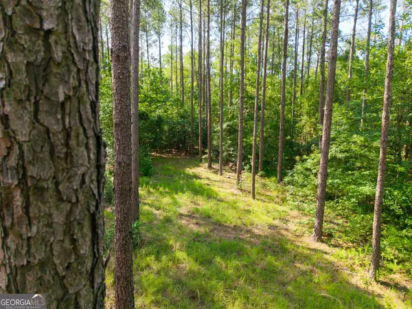 Register, GA 30452,0 Adabelle RD