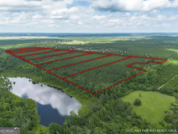 Alma, GA 31510,TRACT 14 Sanderling RD