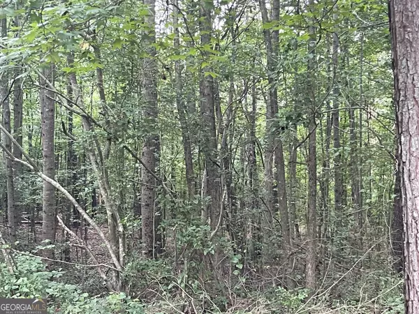 Waco, GA 30182,280 Levi Patterson RD