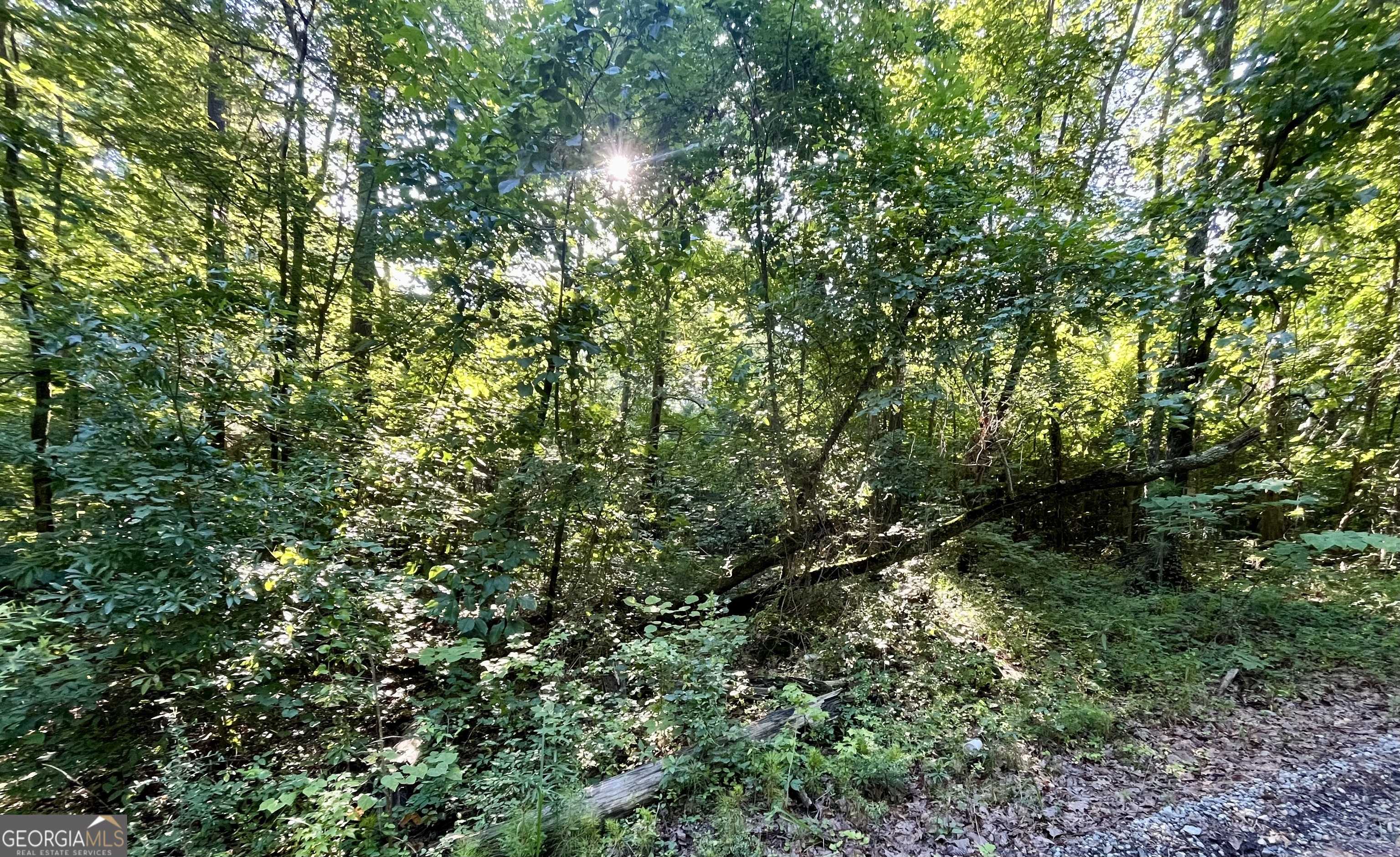 Monticello, GA 31064,0 Meadowlark DR #LOT 8