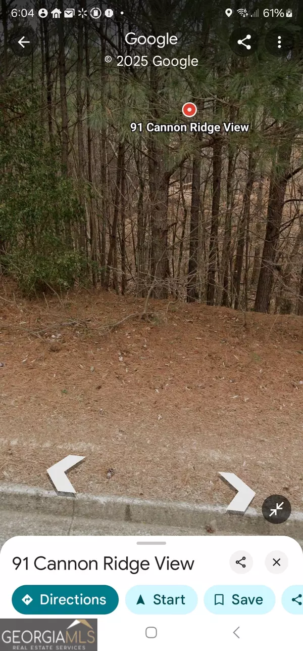 91 Cannon Ridge View, Dallas, GA 30132