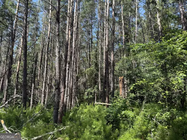 Townsend, GA 31331,79.5 ACRES Us Highway 17