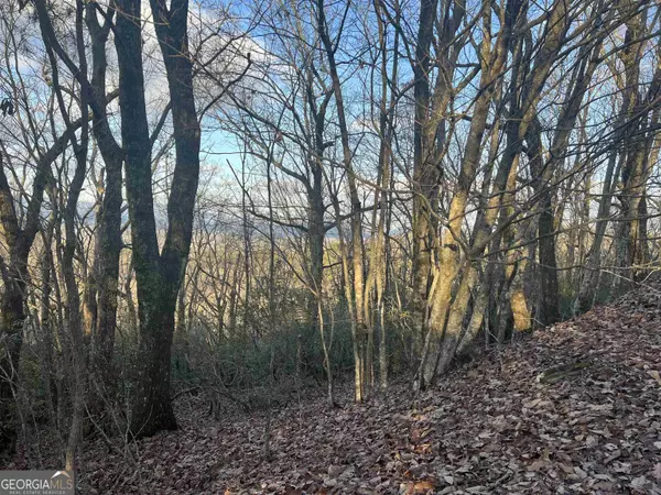 Cleveland, GA 30528,0 Daybreak RD