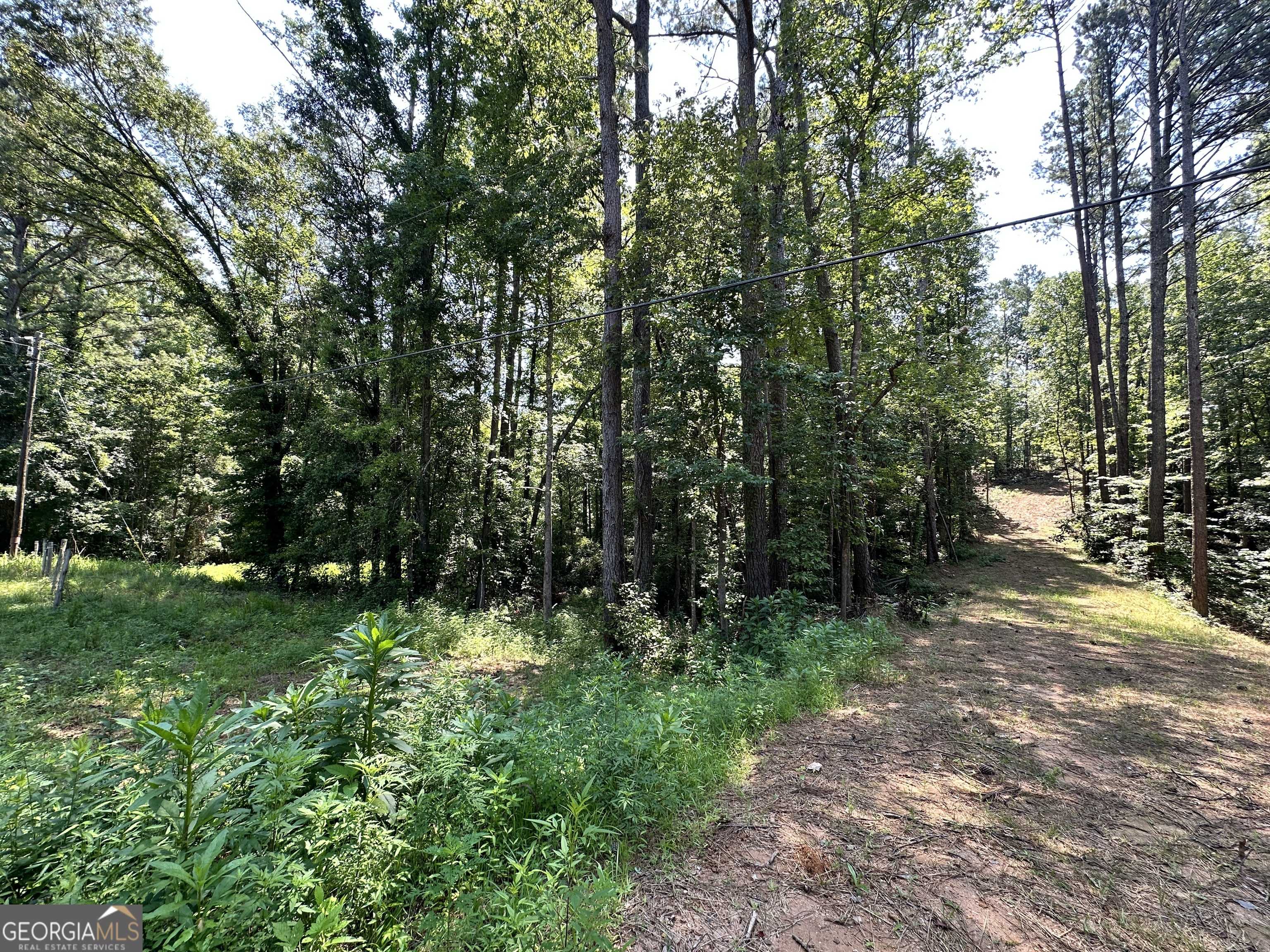 Tallapoosa, GA 30176,0 George Green Rd.
