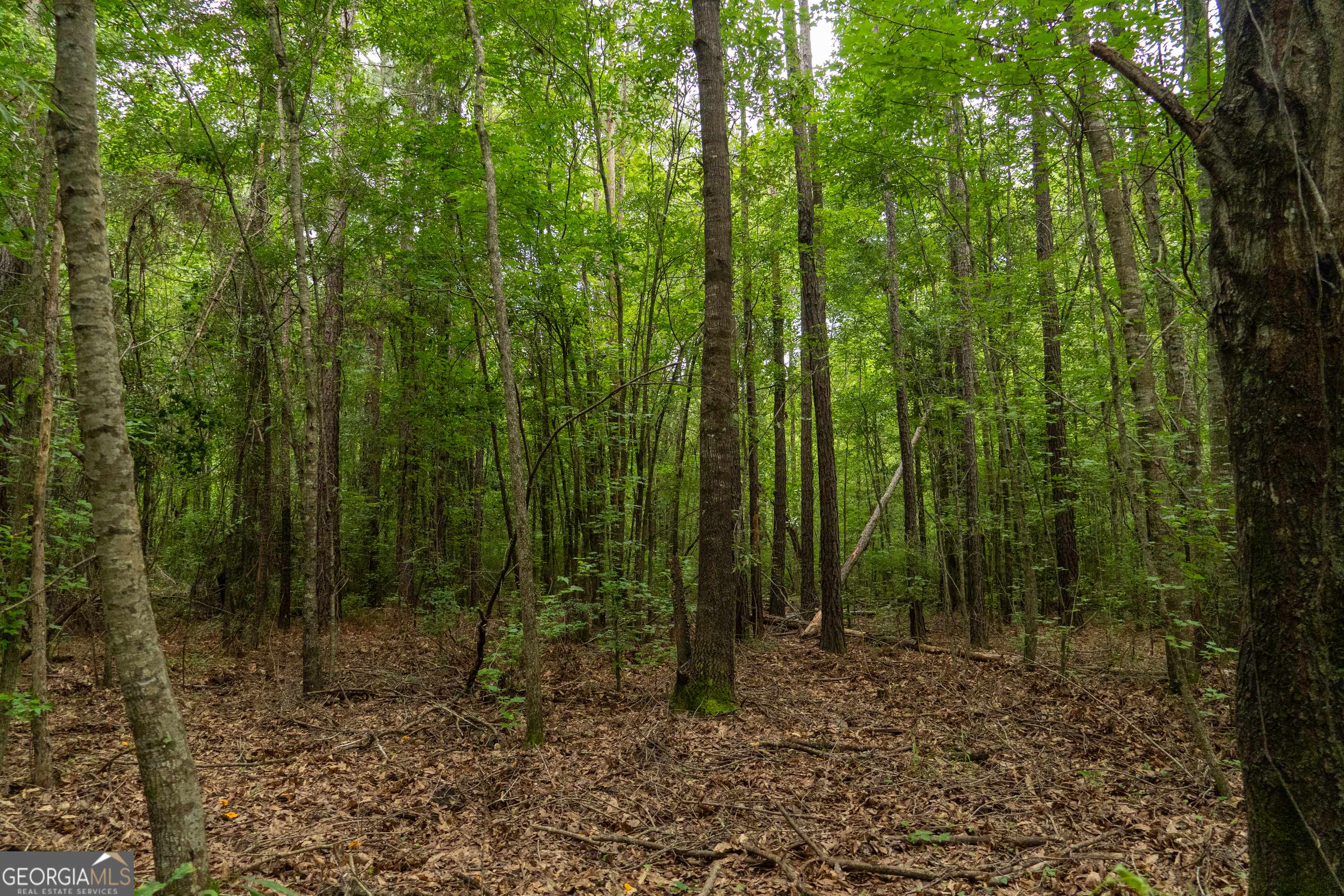 Dry Branch, GA 31020,497 T04 River RD