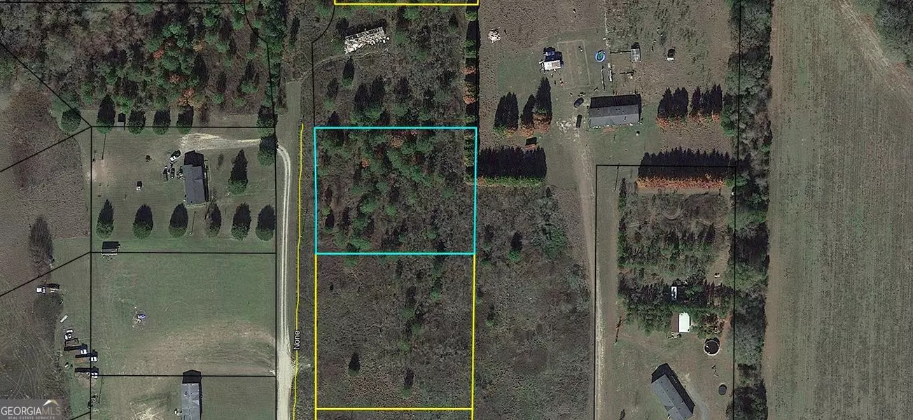 LOT 11 Sydney LN, Montezuma, GA 31063
