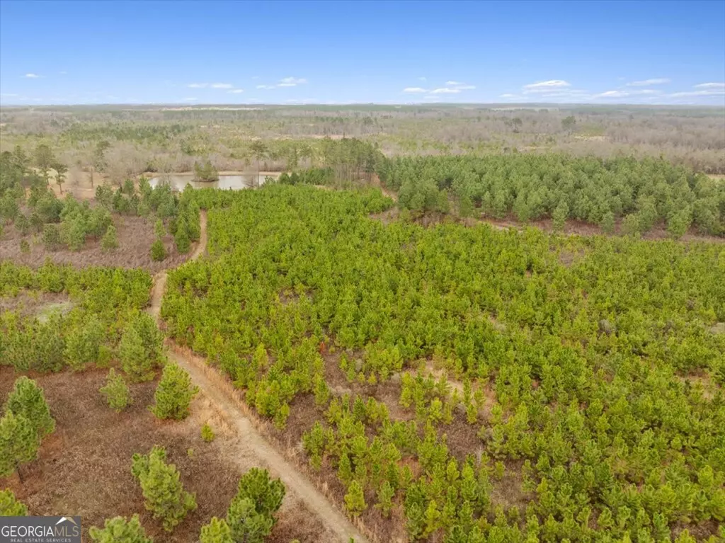 Sylvester, GA 31791,0 Blue Springs