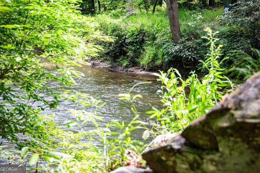 Blue Ridge, GA 30513,LT 67&68 Bice LN