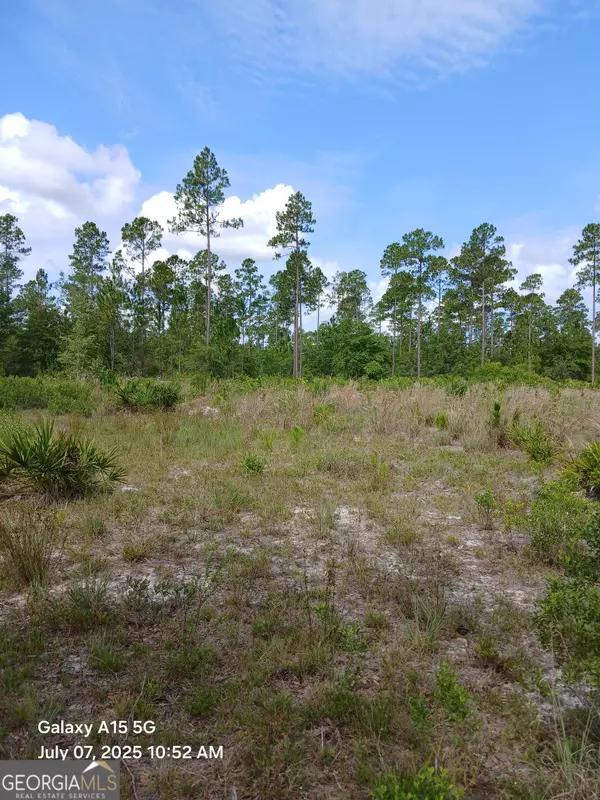 Folkston, GA 31537,883 Okefenokee Club RD