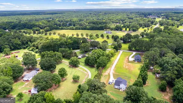 Hampton, GA 30228,20 Conkle RD