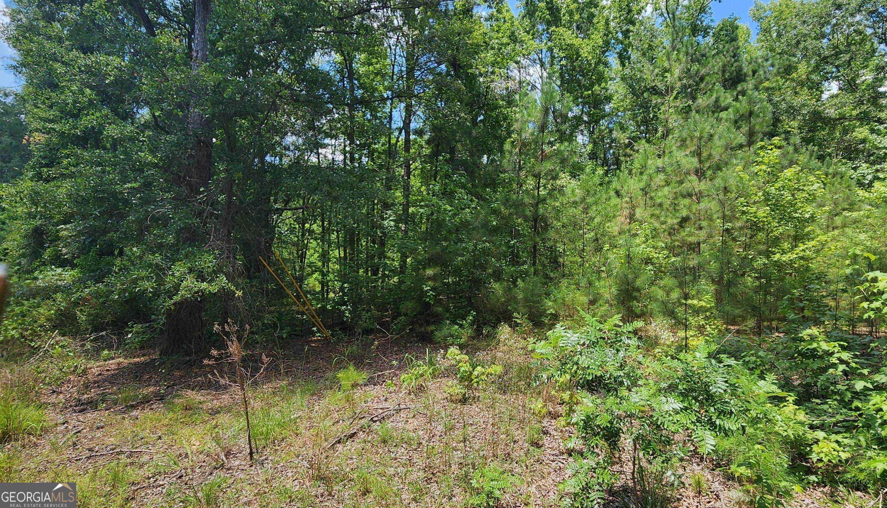 215 Panola RD, Jackson, GA 30233