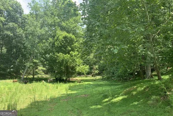 Cumming, GA 30028,6295 0 Bridle DR