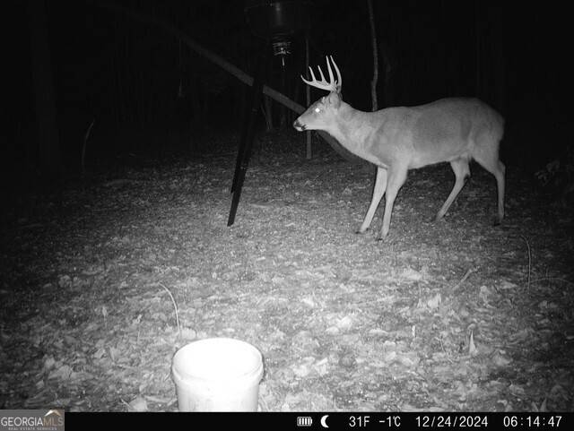 Dearing, GA 30808,0 Hobbs RD