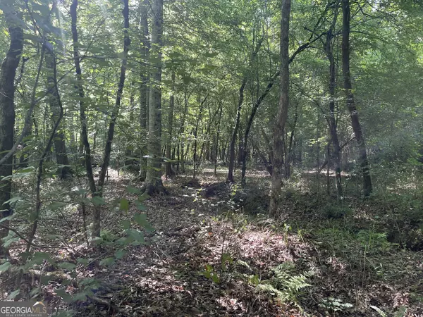 0 Bevis Rd Parcel 7, Franklin, GA 30217