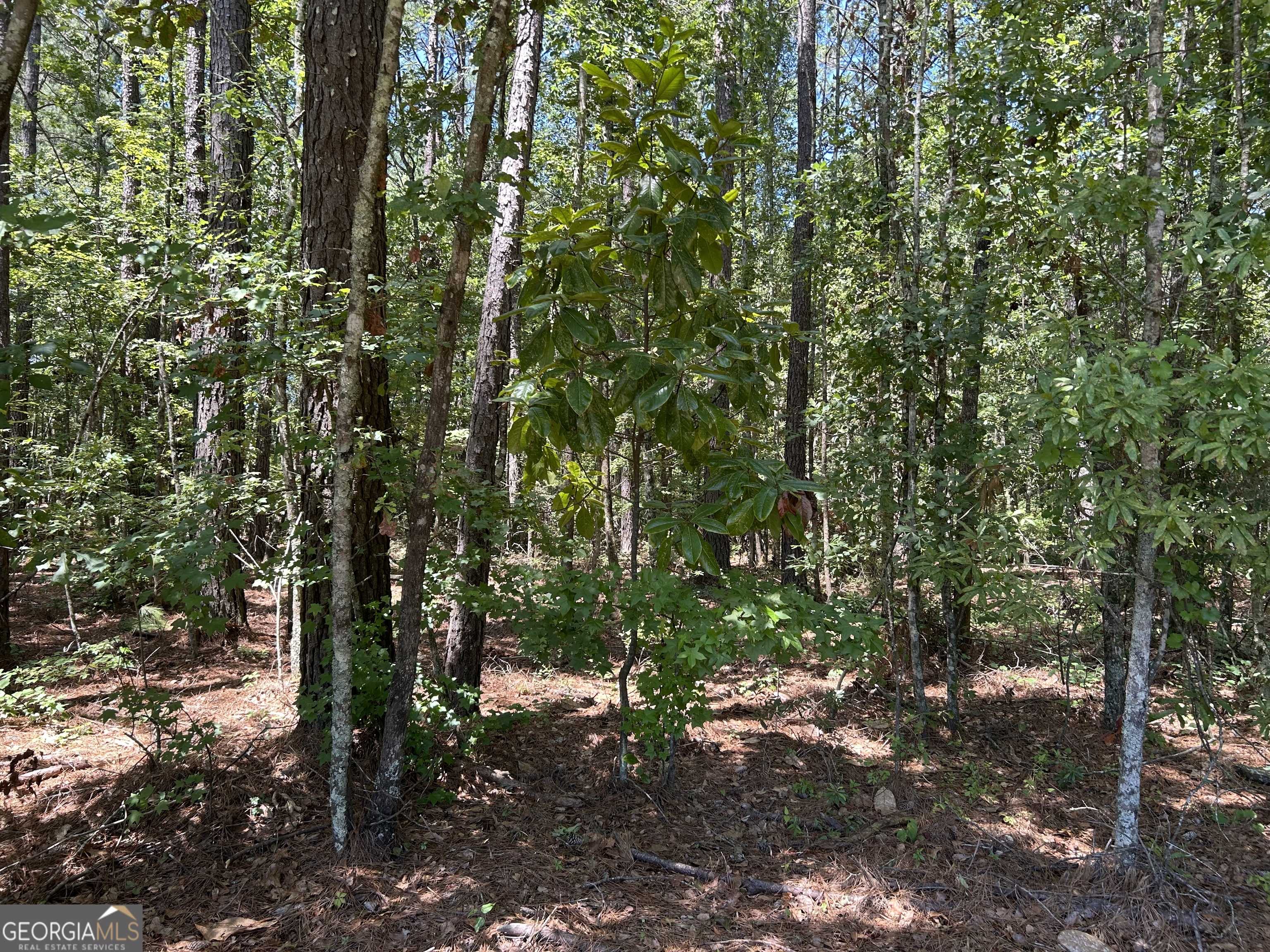 Brooklet, GA 30415,LOT 4 Cleary Rd