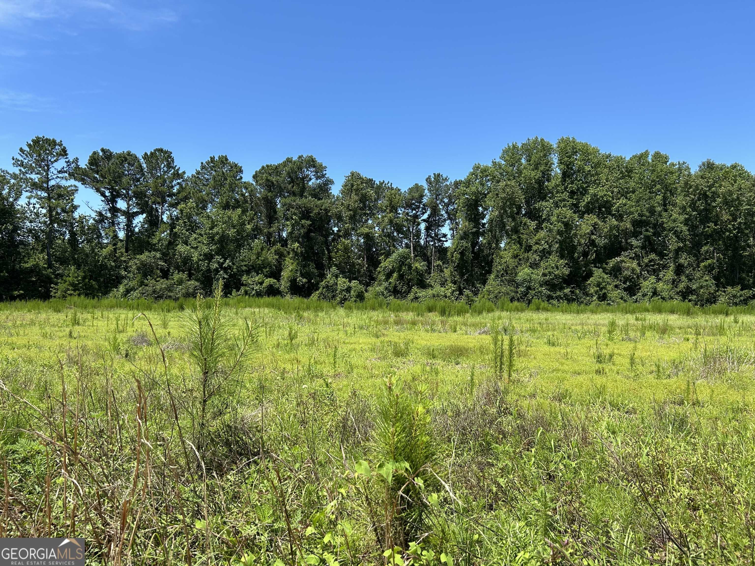 Statesboro, GA 30415,LOT 2 Cleary Rd