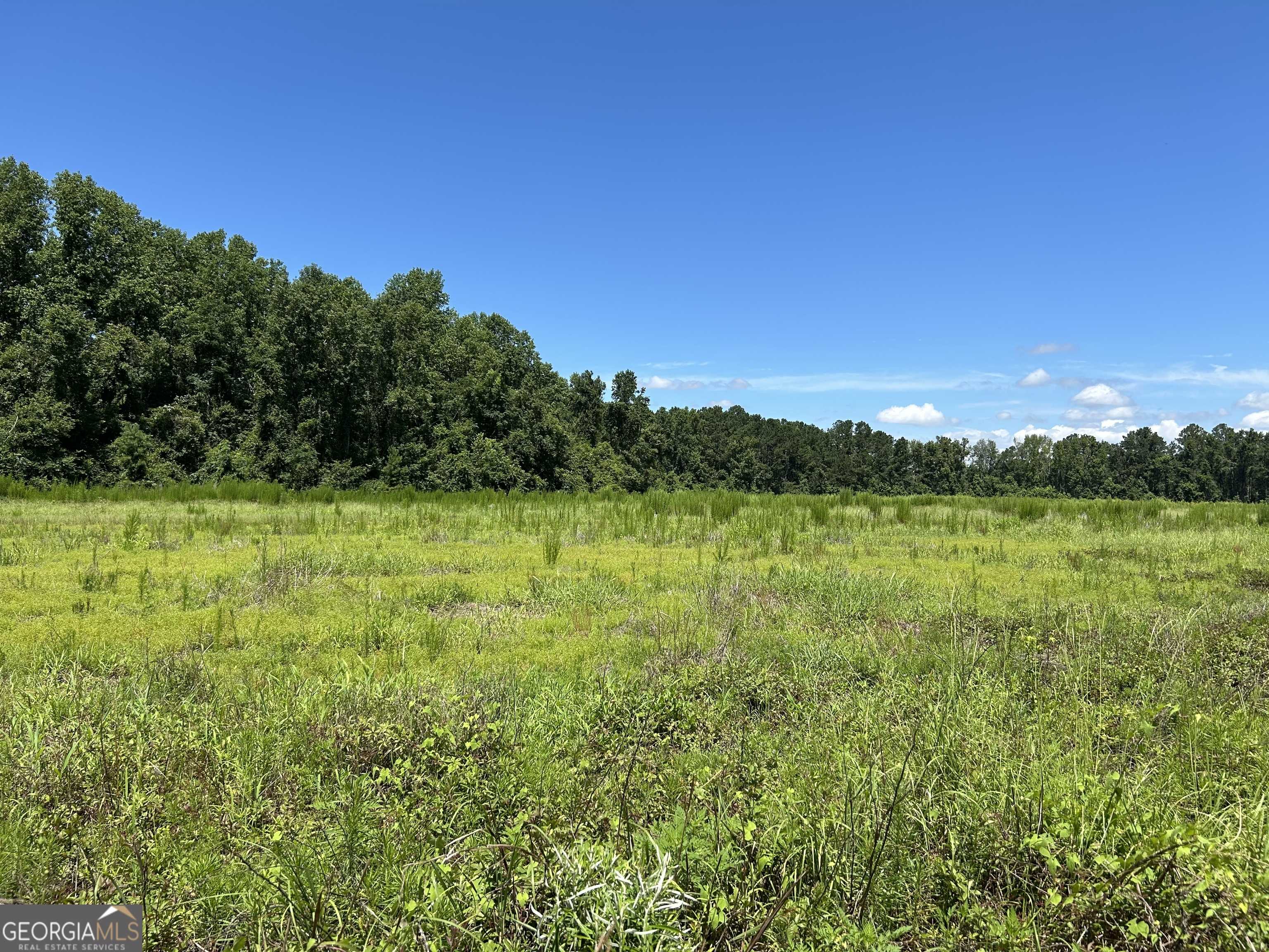 LOT 2 Cleary Rd, Statesboro, GA 30415