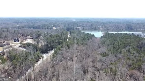 Hampton, GA 30228,0 Panhandle RD #LOT 1
