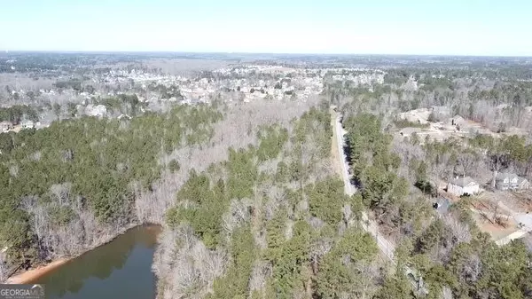 Hampton, GA 30228,0 Panhandle RD #LOT 2