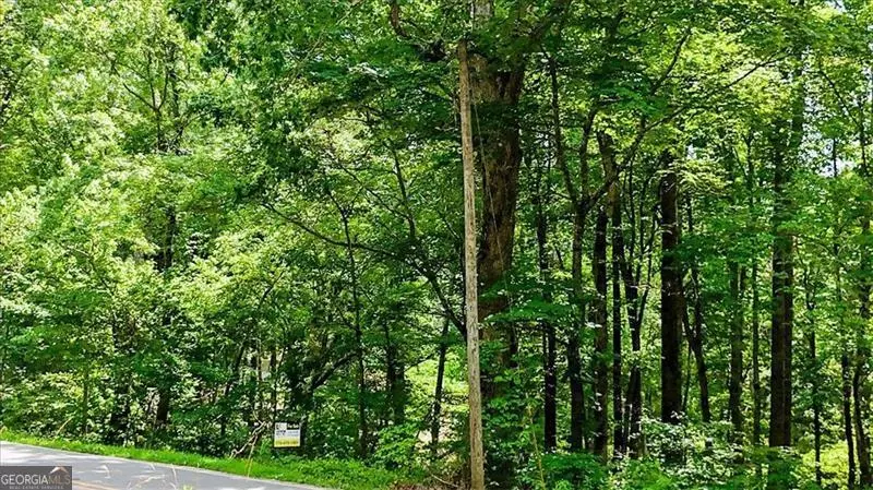 Jasper, GA 30143,1 Henderson Mountain